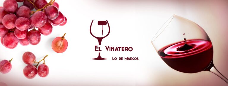 301403053 486045083531031 8509121800129076735 n 1 768x292